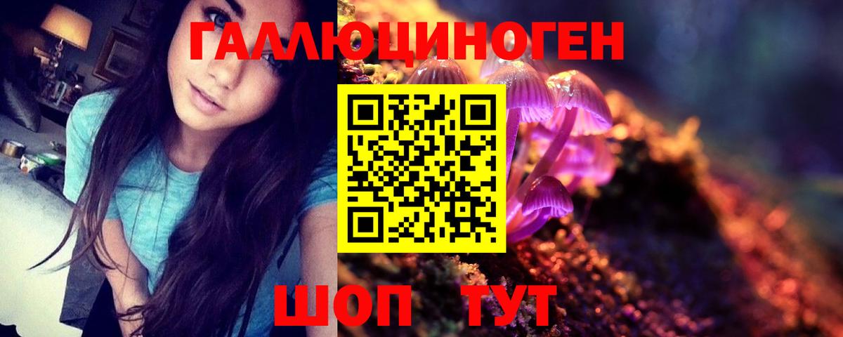 Галлюциногенные грибы мицелий Елабуга